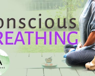 Intro to Conscious Breathing A Calming Breathing Technique